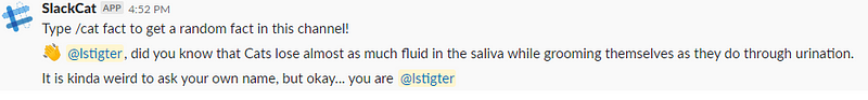 A cat fact response in Slack